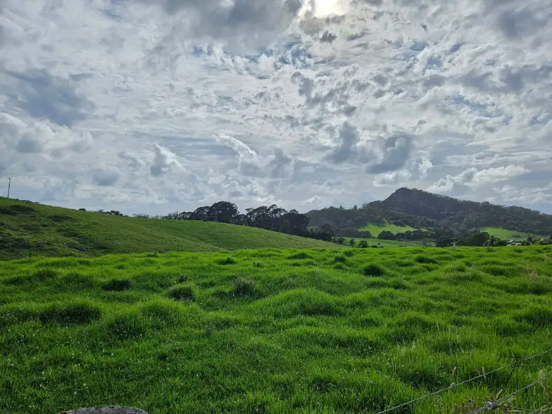 The walk begins through some lovely green fields 