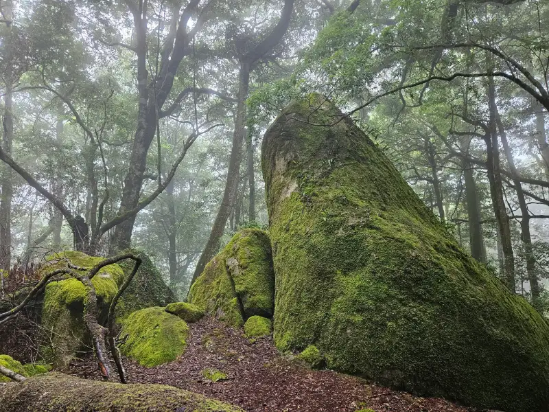 The boulders have spiritual significance to the local Aboriginal people
