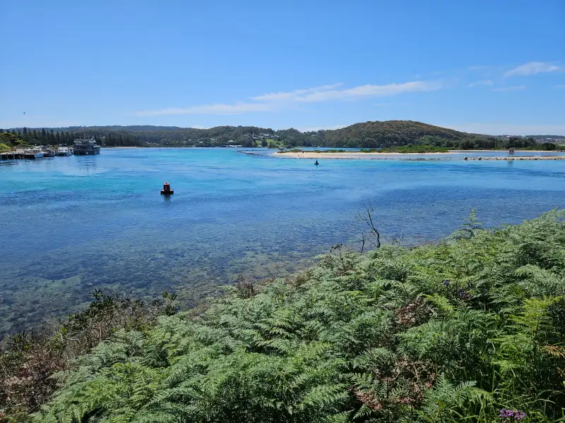 A view of Wagonga Inlet from the south