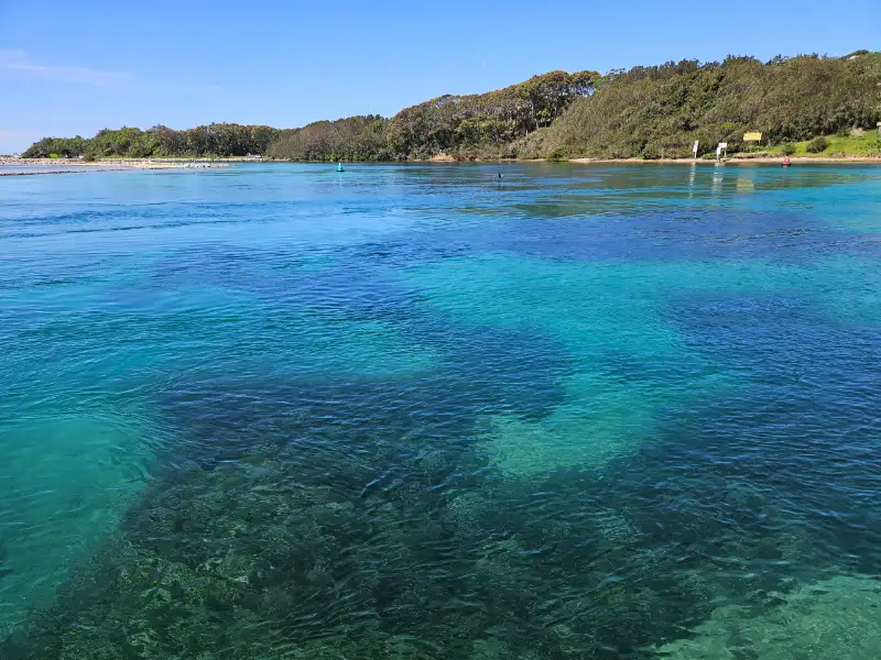 The water certainly looks appealing!